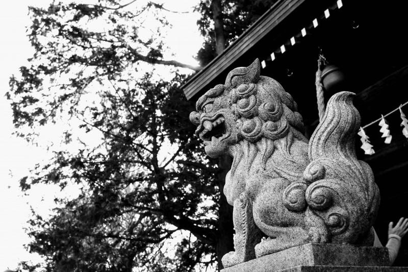 竪神社の狛犬